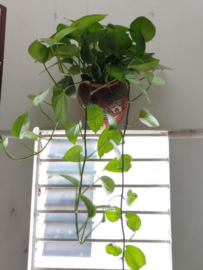 T P House 3 Apartment Son Tra ภายนอก รูปภาพ